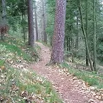 Chemin De Resilience, Sejours Detente Et Nature 4*