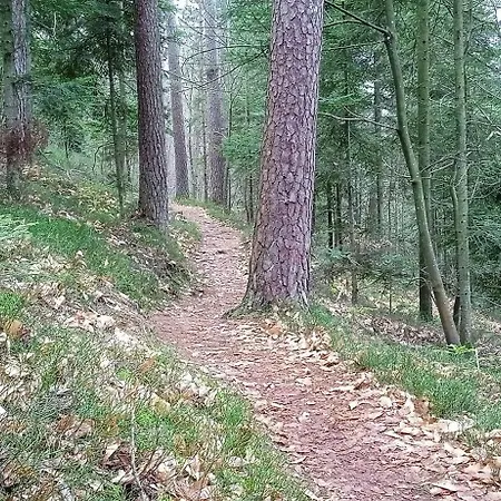 Chemin De Resilience, Sejours Detente Et Nature 4*