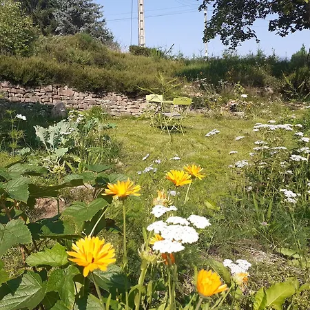 Chemin De Resilience, Sejours Detente Et Nature Fouchy