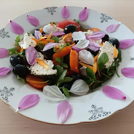 Гостевой дом Chemin De Resilience, Sejours Detente Et Nature