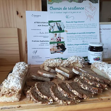 Chemin De Resilience, Sejours Detente Et Nature Fouchy