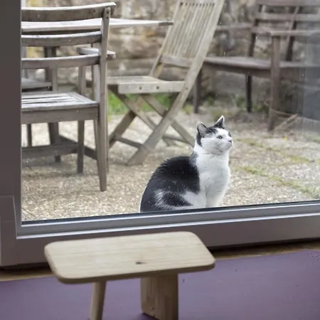 Гостевой дом Chemin De Resilience, Sejours Detente Et Nature Fouchy
