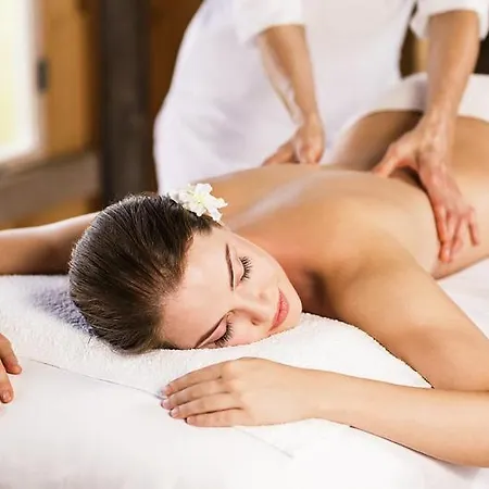 Chemin De Resilience, Sejours Detente Et Nature Fouchy